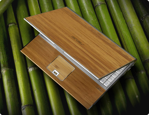 Bamboo computer